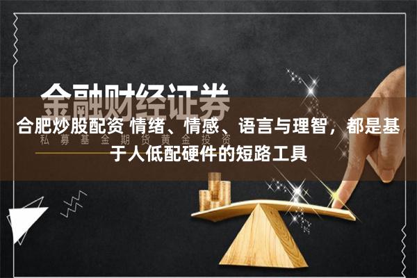 合肥炒股配资 情绪、情感、语言与理智，都是基于人低配硬件的短路工具