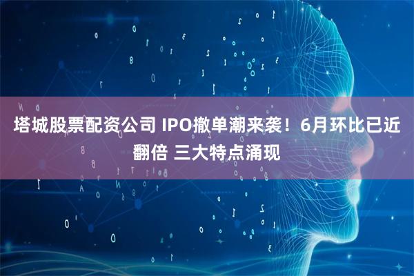 塔城股票配资公司 IPO撤单潮来袭！6月环比已近翻倍 三大特点涌现