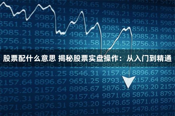 股票配什么意思 揭秘股票实盘操作：从入门到精通